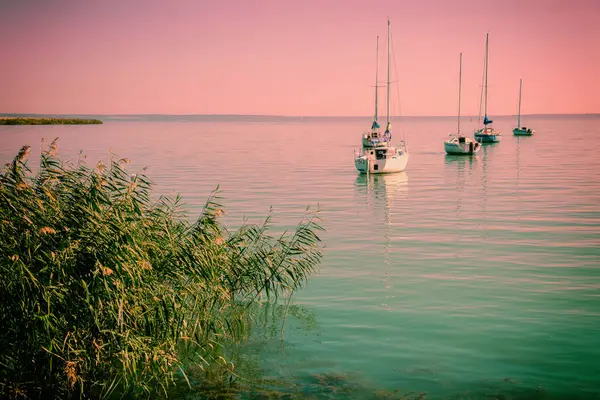 Barche Vela Nel Lago Durante Tramonto Lago Balaton Ungheria Europa Fotografia Stock