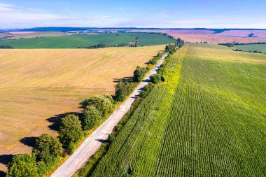 Sunny day in the countryside. Rural landscape in daylight. Aerial view of a country road among fields