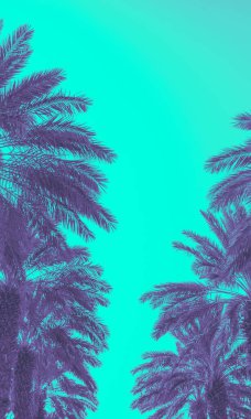 Mavi gökyüzüne karşı palmiye ağaçları. Uzun palmiye ağaçlarının silueti. Tropik akşam manzarası. Güzel tropik doğa. Dikey pankart