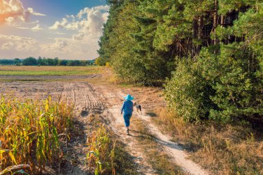 Köpeği olan genç bir kadın tarla ve orman arasındaki toprak yolda yürüyor. Drone görünümü