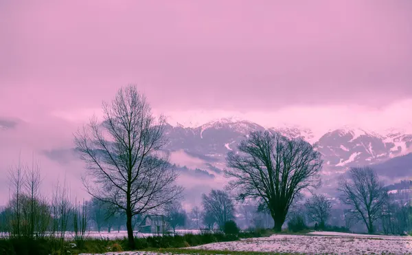 stock image Mountain foggy landscape after snowfall