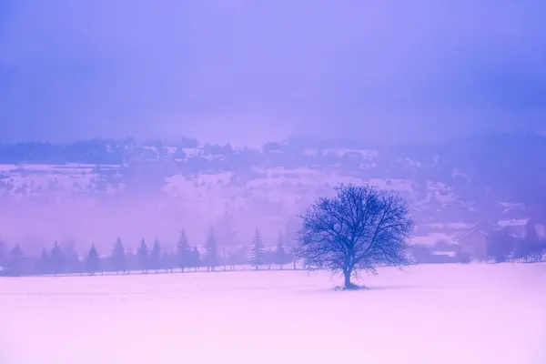 stock image Mountain minimalist landscape. Lonely tree on a snowy field. Winter mountain rural foggy landscape. France