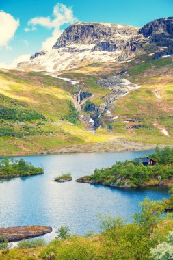 Güneşli bir günde fiyort manzarası. Norveç 'in güzel vahşi doğası. Dikey resim