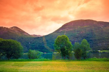 Dağ gölü kıyısı. Norveç 'in doğası. Güzel İskandinav dağ manzarası