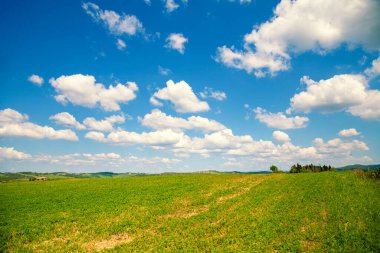 Toskana 'nın pitoresk manzarası. Mavi gökyüzü ve güzel bulutlarla bahar doğası. Çimenlenmiş yuvarlanan alanlar