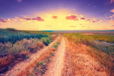 Gün batımında deniz kıyısına uzanan otlaktaki boş toprak yol.