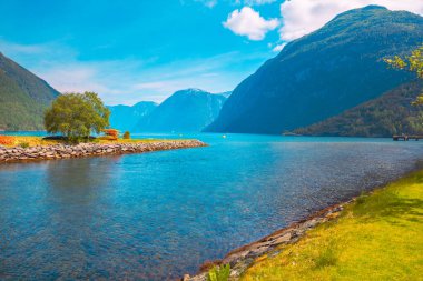 Güneşli bir günde Geirangerfjord manzarası. Norveç 'in Hellesylt limanının güzel seti