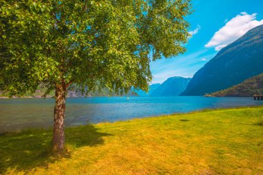 View of Geirangerfjord on a sunny day. Beautiful embankment of Hellesylt cruise port, Norway clipart