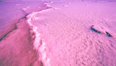 Pembe Göl Torrevieja. Pembe gölün tuzlu dokusu. Doğa arkaplanı