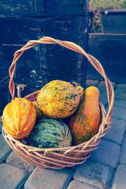 Balkabakları sepete. Sonbahar arkaplanı. Cadılar Bayramı, Şükran Günü, Sonbahar, Hasat geçmişi. Dikey resim