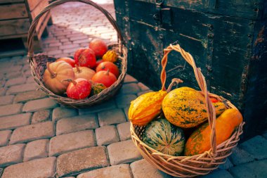 Balkabaklı iki sepet. Sonbahar arkaplanı. Cadılar Bayramı, Şükran Günü, Sonbahar, Hasat