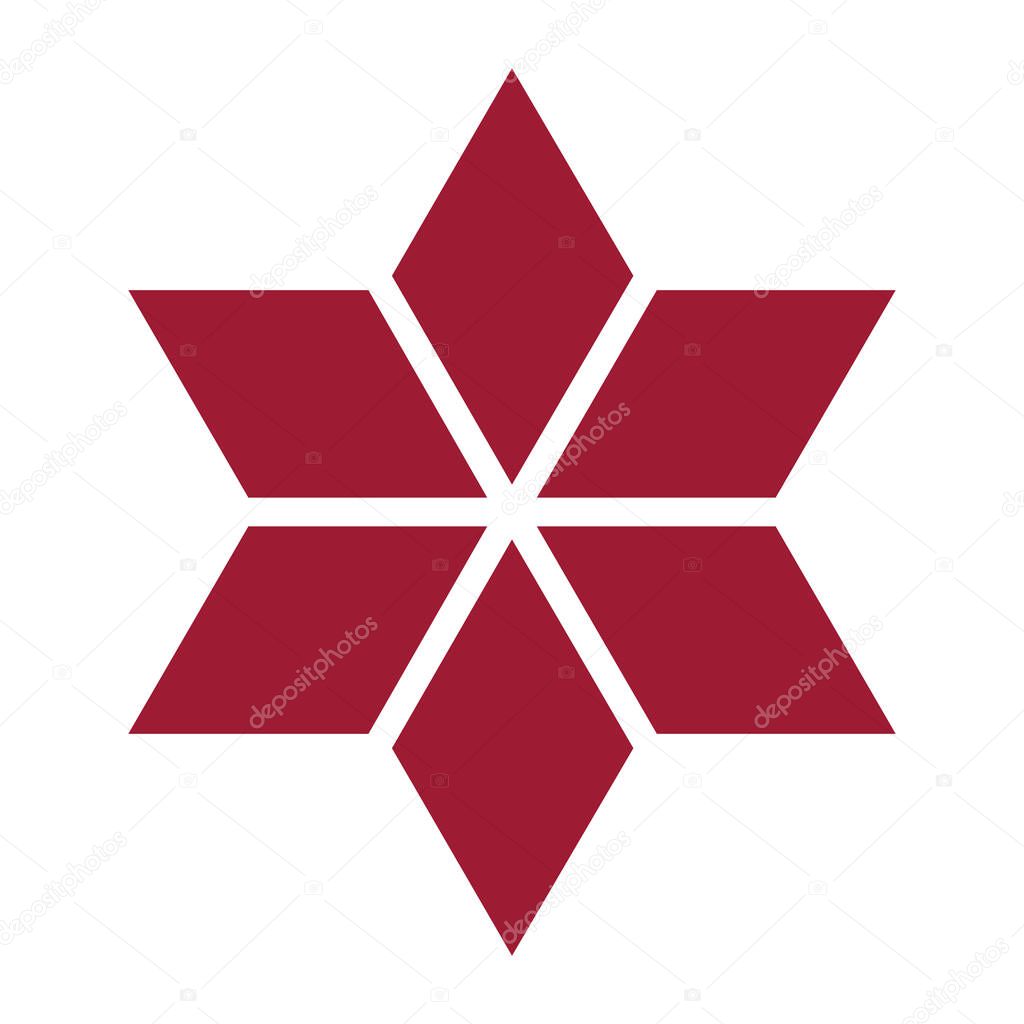 Hexagon geometric star icon