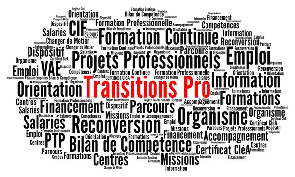 Professional transitions word cloud called transitions pro in French language