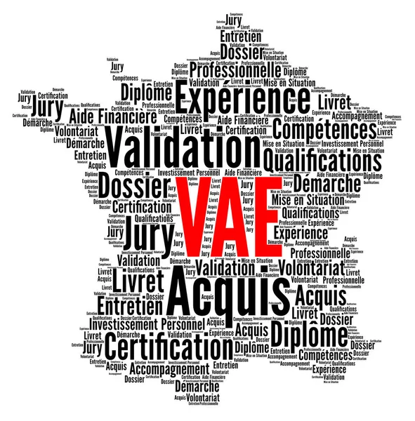 フランス語でVaeと呼ばれる先行学習ワードクラウドの認識 — ストック写真