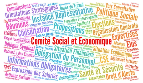 Comité Économique Social Nuage Mots France Appelé Cst Langue Française — Photo