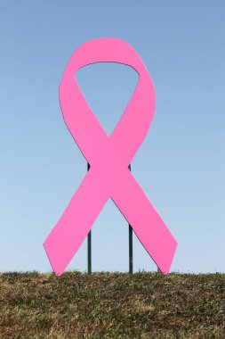 Fransa 'da pembe Ekim sembolü ve göğüs kanseri farkındalığı ayı