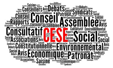 Fransız ekonomik, sosyal ve çevresel konsey sözcüğü CESE conseil economique, sosyal et environment in French language
