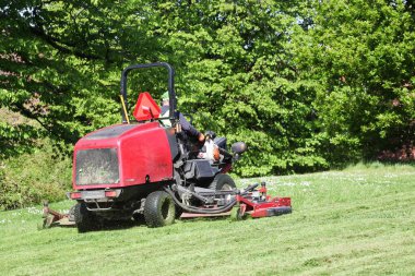 Danimarka 'da bir parkta çim biçme makinesi süren bir adam.