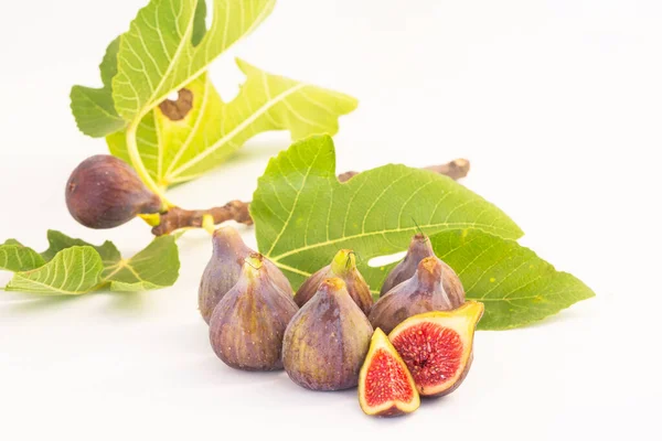 Natural Figs Tree White Background Stock Image