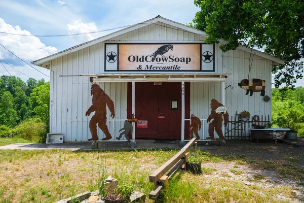 ジョージア州ダロネガ米国 2022年5月16日 州北部のこの農村部の小さな町のヴィンテージ小売店 — ストック写真