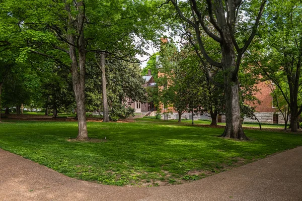 美丽的大学校园 绿树成荫 — 图库照片