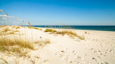 pensacola, florida güzel perdido beach.