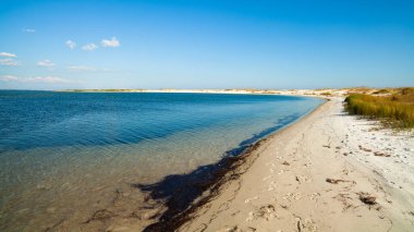 pensacola, florida güzel perdido beach.