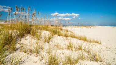 pensacola, florida güzel perdido beach.