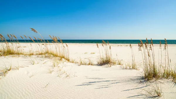 pensacola, florida güzel perdido beach.