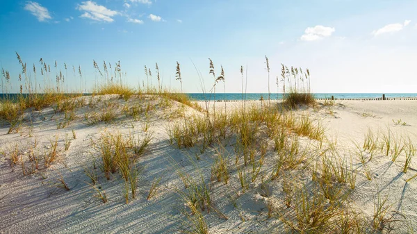 ペンサコーラ フロリダ州の美しいペルディド ビーチ — ストック写真