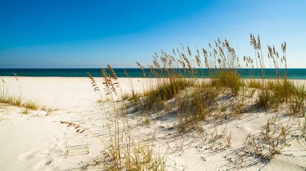Pláž Krásná Perdido Pensacola Florida — Stock fotografie