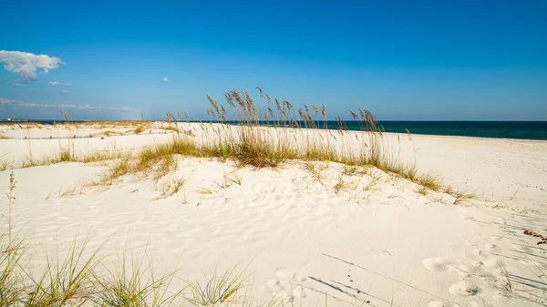 Pensacola Florida Güzel Perdido Beach — Stok fotoğraf