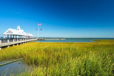 Güney Carolina, Charleston 'daki Waterfront Park Körfezi manzarası