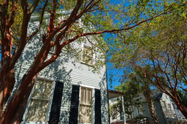 Güney Carolina, Charleston 'daki tarihi Fransız Mahallesi' nde güzel bir klasik mimari.