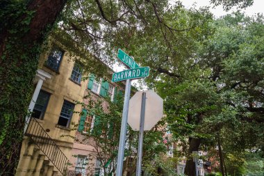 Savannah, Georgia 'nın tarihi şehir merkezinde klasik konut mimarisi.