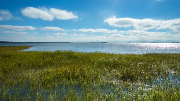 Pohled Záliv Waterfront Park Charlestonu Jižní Karolína — Stock fotografie