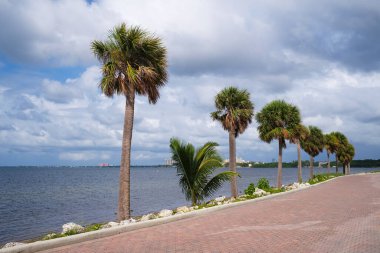 Miami 'deki Rickenbacker Geçidi' ndeki halk plajı.