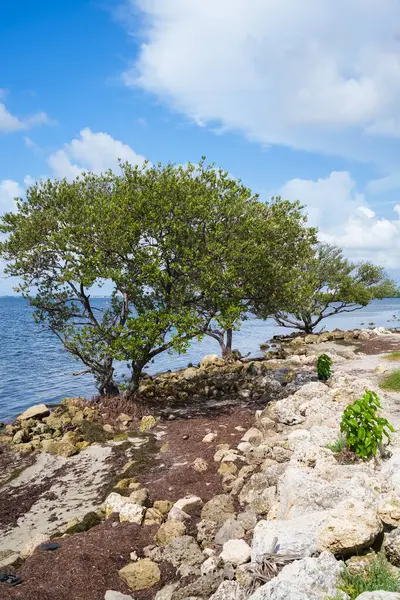 stock image Public beach along the Rickenbacker Causeway in Miami