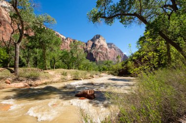 Güzel manzara Utah Zion National Park