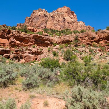 Güzel manzara Utah Zion National Park