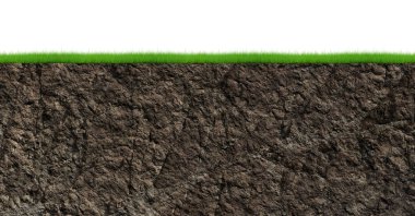 rock isolated on white background.	