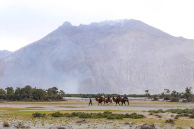 Ladakh Hindistan 'ın manzara manzarası. Himalayalar, Ladakh, Hindistan