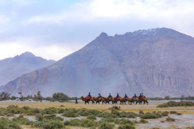 Ladakh Hindistan 'ın manzara manzarası. Himalayalar, Ladakh, Hindistan