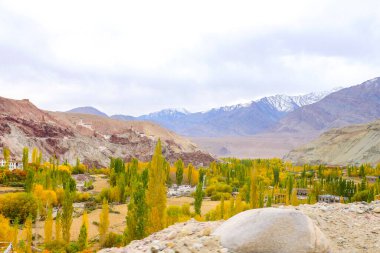 Ladakh Hindistan 'ın manzara manzarası. Himalayalar, Ladakh, Hindistan