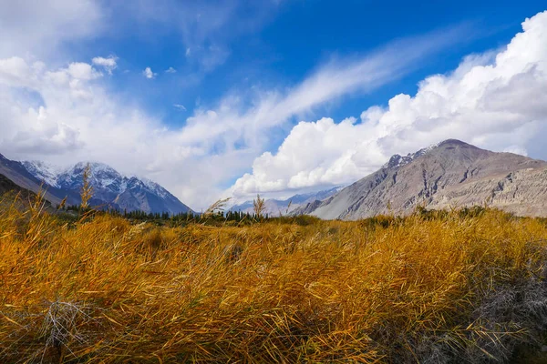 Landscape view of Ladakh India.Himalayas, Ladakh, India