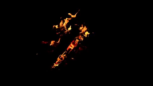 Vuur Vlammen Zwarte Achtergrond — Stockvideo