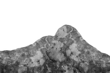 Beyaz arkaplanda izole kaya.