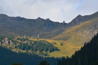 İsviçre 'deki Grindelwald manzarası.