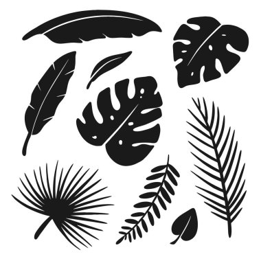 Hurma yaprağı, eğreltiotu ve hurma yaprakları içeren siyah ve beyaz yapraklı bitkiler.