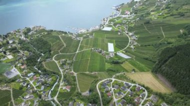 Fiyort, tarlalar, Norveç 'te dağların etrafındaki yerleşim yerleri. Yüksek kalite 4k görüntü
